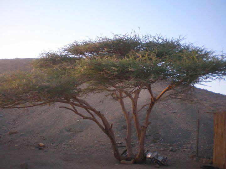 Super Safari From Sharm EL Sheikh