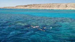 El Gouna sea trip from Hurghada