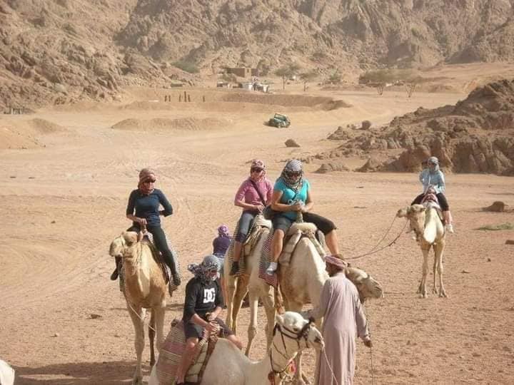 3-Hours Quad Safari After Lunch In Hurghada