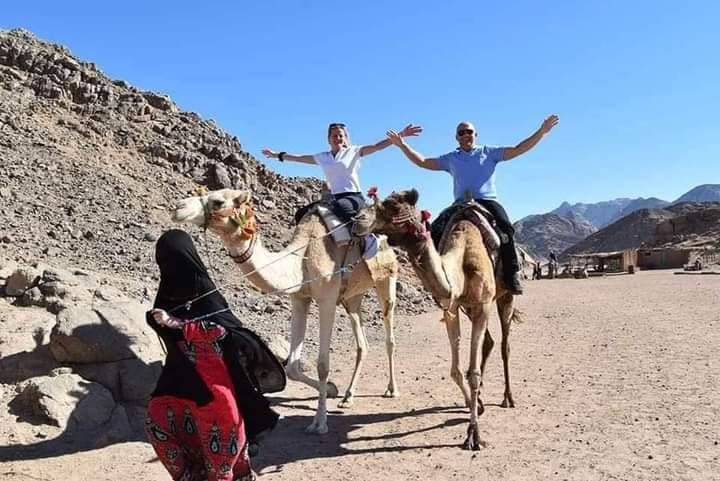 3-Hours Quad Safari After Lunch In Hurghada