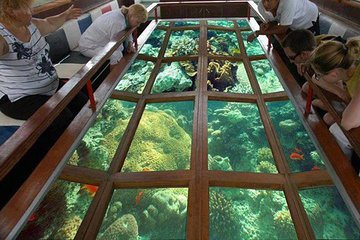 Glass bottom boat excursion in Sharm El Sheikh