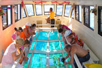 Glass bottom boat excursion in Sharm El Sheikh