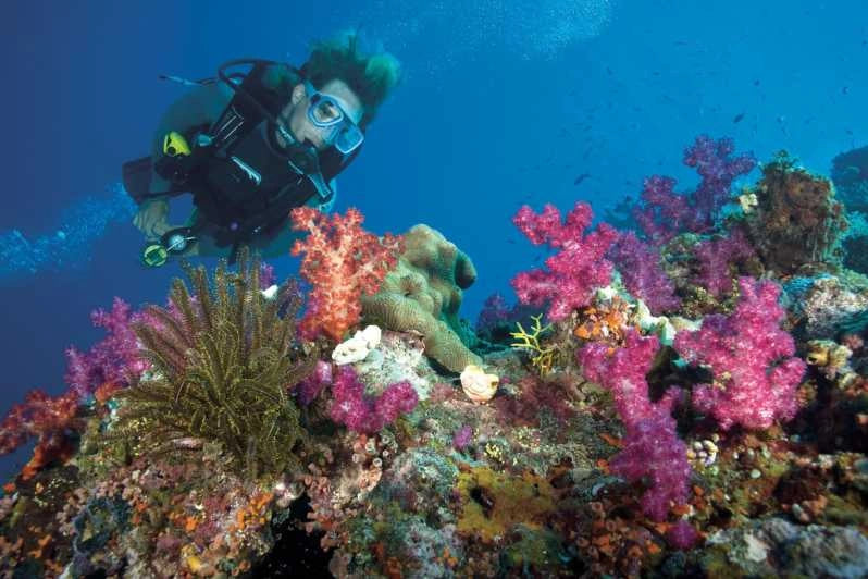 Sataya Dolphin House From Marsa Alam