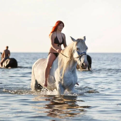 Horse riding Hurghada