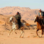 Horse riding Hurghada