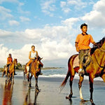 Horse riding Hurghada