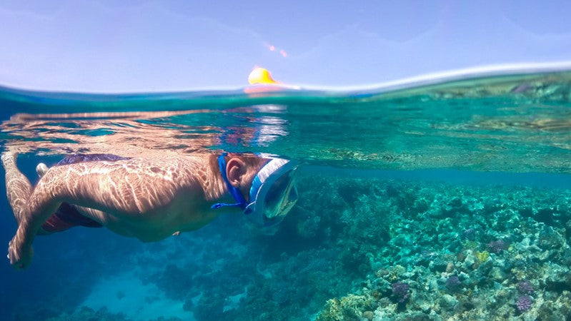 Abu Dabab Snorkeling Tours in Marsa Alam