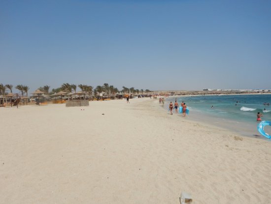 Abu Dabab Snorkeling Tours in Marsa Alam