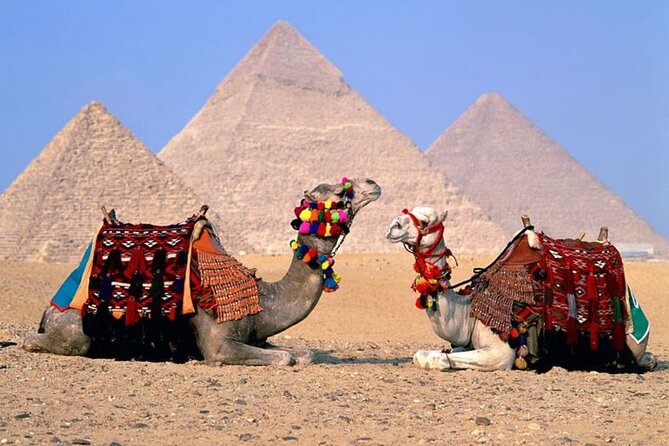 Cairo Over Day Trip From Sharm El Sheikh By Bus