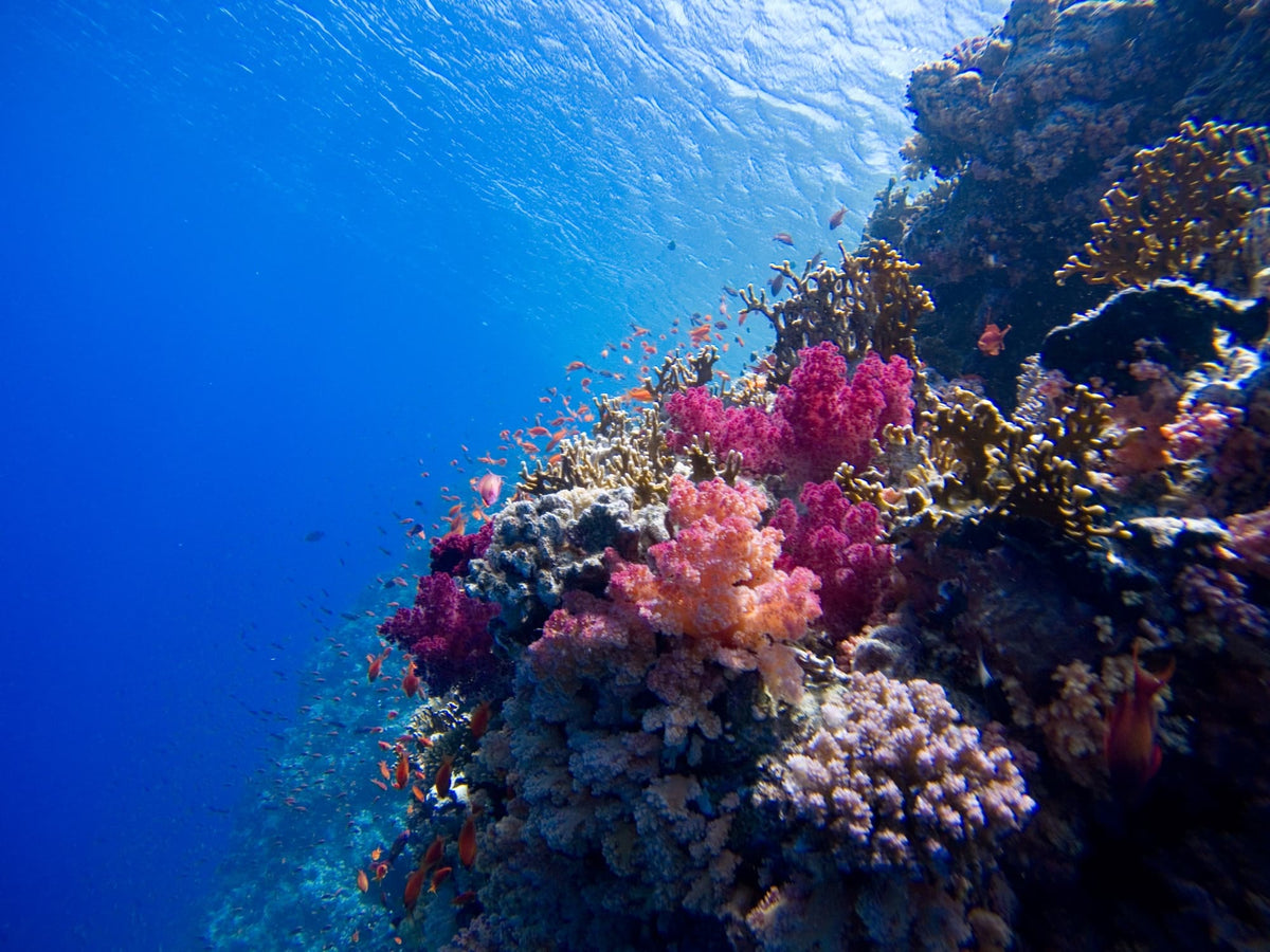 Tagesausflug zur Sharm el Naga Bay ab Hurghada