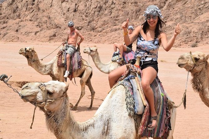 5 in 1 mix Safari &Sea,3 Pools,Dahab Canyon ,Quad Bike ,Riding Camels,Dahab City