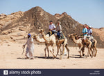 Private 3-Hours Quad Safari and Camel ride after lunch from Sharm el sheikh