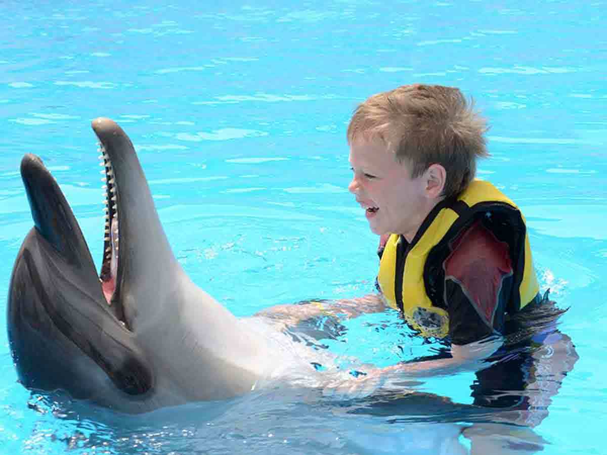 Swim With Dolphins In Hurghada