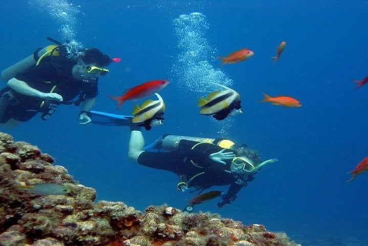 Tiran Island Snorkeling Trip From Sharm El Sheikh