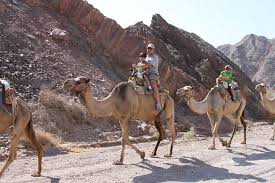 Private Morning 3-Hours Quad Safari From Hurghada