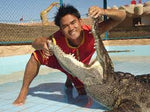 Crocodile and Snake Show Sharm El Sheikh