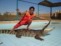 Crocodile and Snake Show Sharm El Sheikh