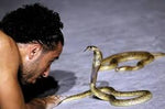 Crocodile and Snake Show Sharm El Sheikh