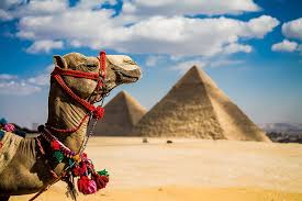 Cairo Over Day Trip From Sharm El Sheikh By Flight