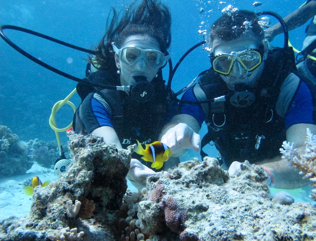 Scuba Diving From Hurghada