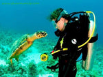 Diving and Fun In Sharm El Sheikh